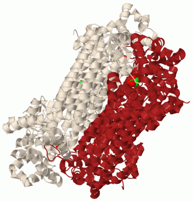 Image Biol.Unit 1 - manually