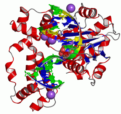 Image Asym./Biol. Unit - manually