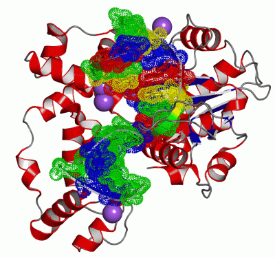 Image Asym./Biol. Unit - manually