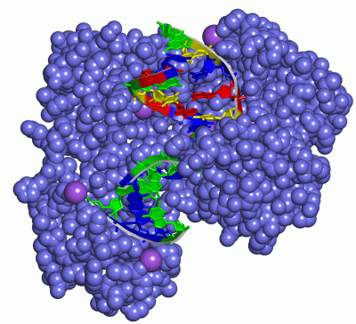 Image Asym./Biol. Unit - manually