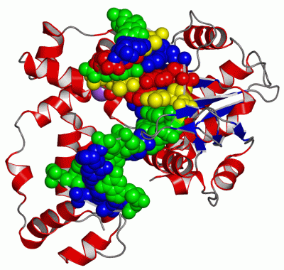 Image Asym./Biol. Unit - manually