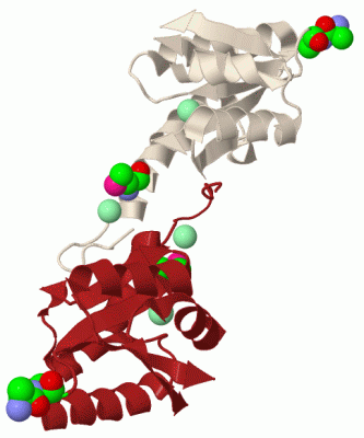 Image Biol.Unit 1 - manually