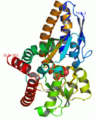 Image Asym./Biol. Unit - manually