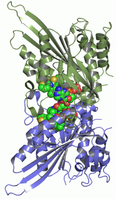 Image Asym./Biol. Unit - manually