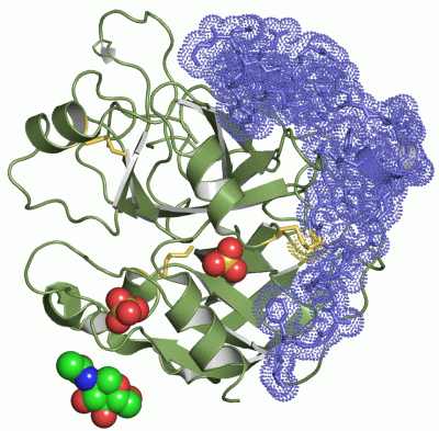 Image Asym./Biol. Unit - manually