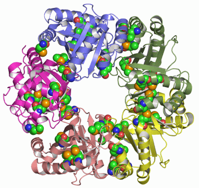 Image Asym./Biol. Unit - manually