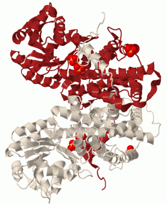 Image Biol.Unit 1 - manually