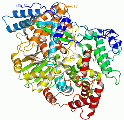 Image Asym./Biol. Unit - manually