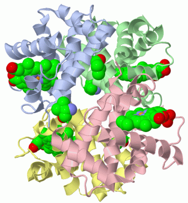 Image Asym./Biol. Unit - manually