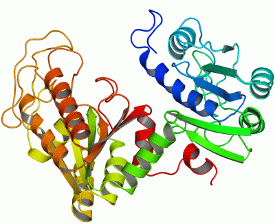 Image Asym./Biol. Unit - manually