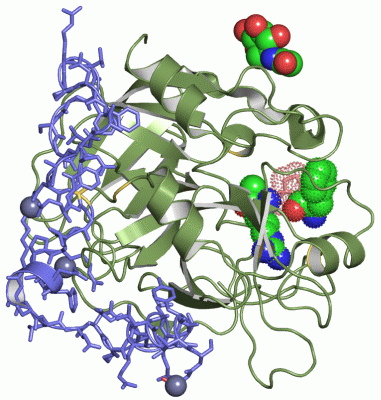 Image Asym./Biol. Unit - manually