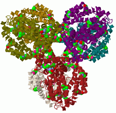 Image Biol.Unit 1 - manually