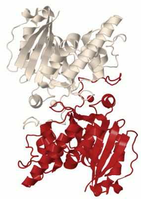 Image Biol.Unit 1 - manually