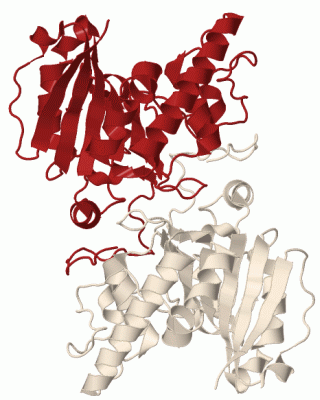 Image Biol.Unit 1 - manually