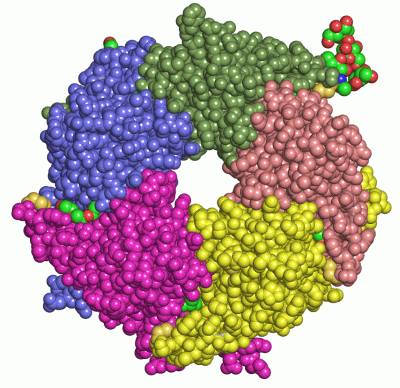 Image Asym./Biol. Unit - manually