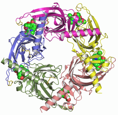 Image Asym./Biol. Unit - manually