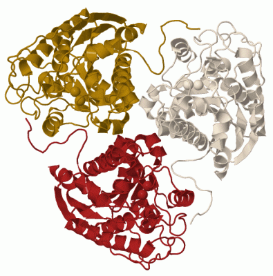 Image Biol.Unit 1 - manually