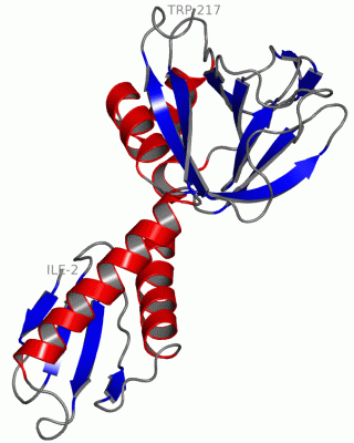 Image Asym./Biol. Unit - manually