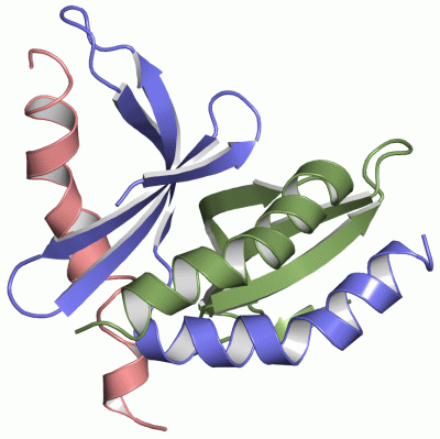 Image NMR Structure - manually