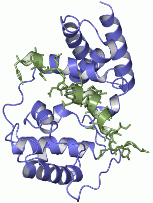 Image NMR Structure - manually