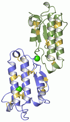 Image Asym./Biol. Unit - manually