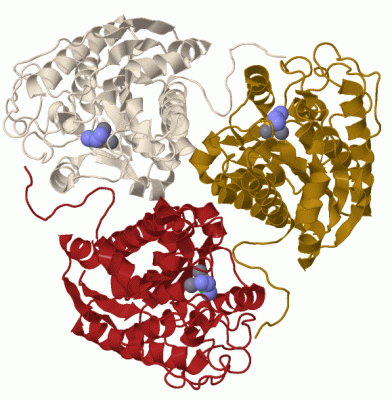 Image Biol.Unit 1 - manually