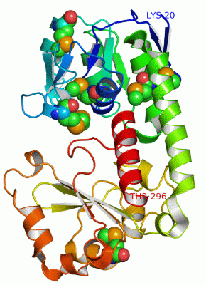 Image Asym./Biol. Unit - manually