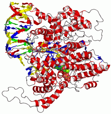 Image Asym./Biol. Unit - manually