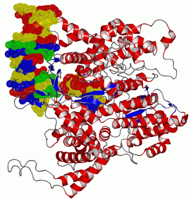 Image Asym./Biol. Unit - manually