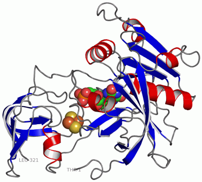 Image Asym./Biol. Unit - manually