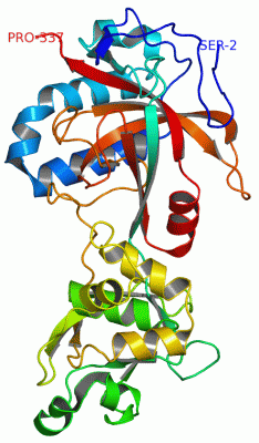 Image Asym./Biol. Unit - manually