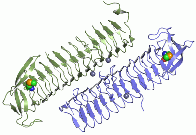 Image Asym./Biol. Unit - manually