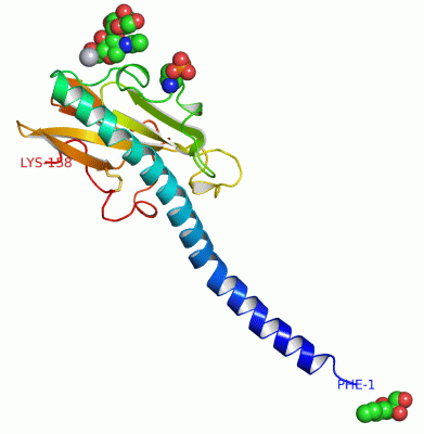 Image Asym./Biol. Unit - manually