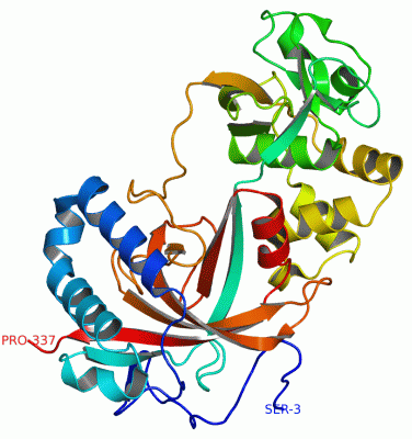 Image Asym./Biol. Unit - manually