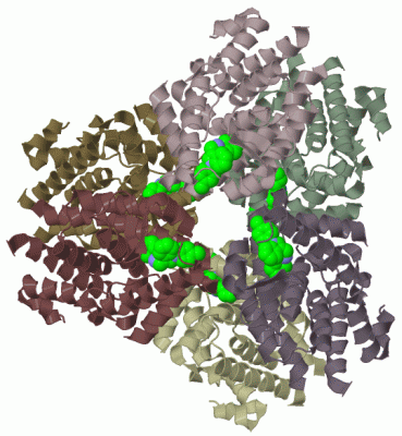 Image Biol.Unit 1 - manually