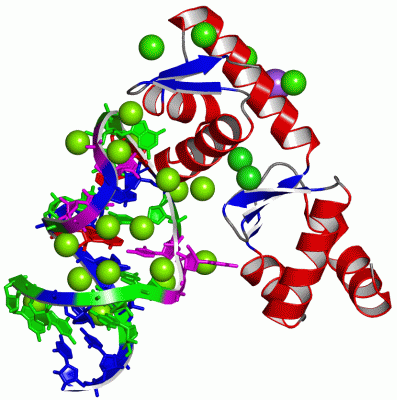 Image Asym./Biol. Unit - manually