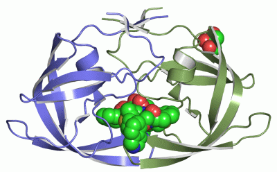 Image Asym./Biol. Unit - manually