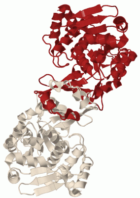 Image Biol.Unit 1 - manually