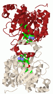 Image Biol.Unit 1 - manually