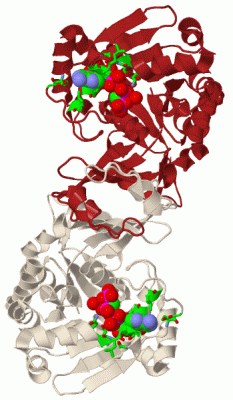 Image Biol.Unit 1 - manually