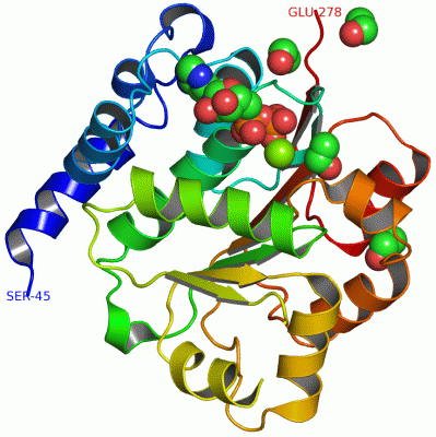 Image Asym./Biol. Unit - manually