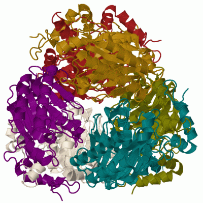 Image Biol.Unit 1 - manually