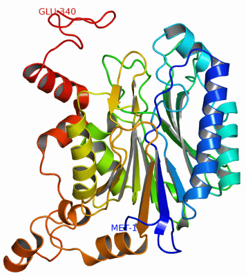 Image Asym.Unit - manually