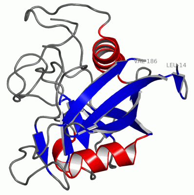 Image Asym./Biol. Unit - manually