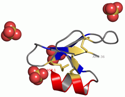 Image Asym./Biol. Unit - manually