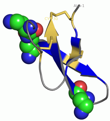 Image Asym./Biol. Unit - manually