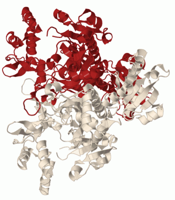 Image Biol.Unit 1 - manually