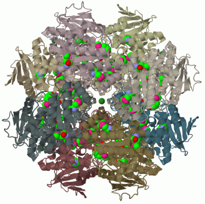 Image Biol.Unit 1 - manually