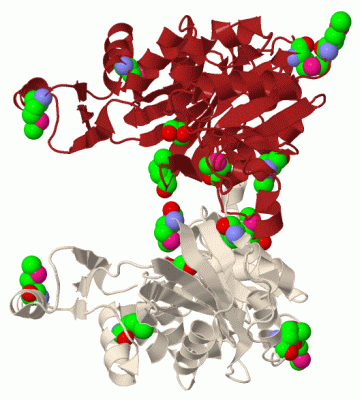 Image Biol.Unit 1 - manually