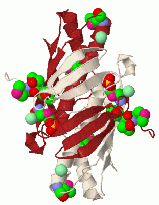 Image Biol.Unit 1 - manually